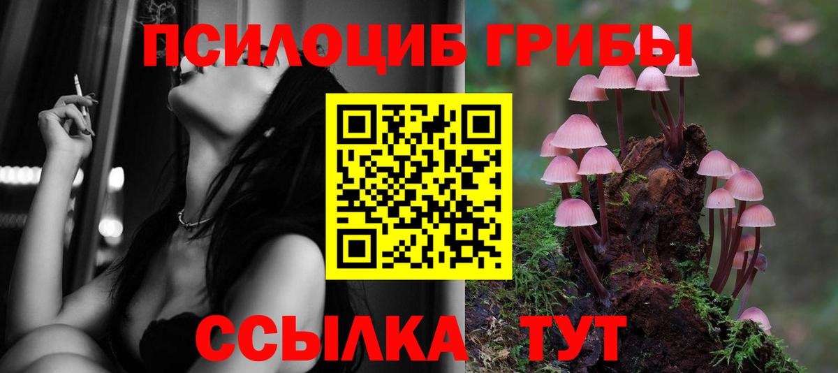 Галлюциногенные грибы Magic Shrooms Асино