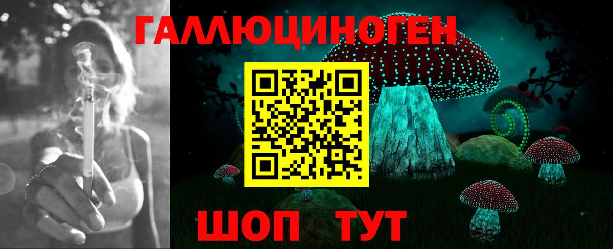 Асино  Галлюциногенные грибы Psilocybine cubensis  где купить наркоту  Галлюциногенные грибы прущие грибы  Вход с VPN 